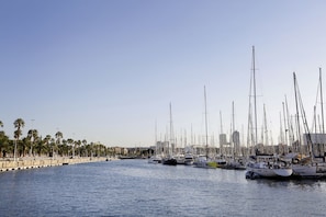 Arc la Rambla property photograph
